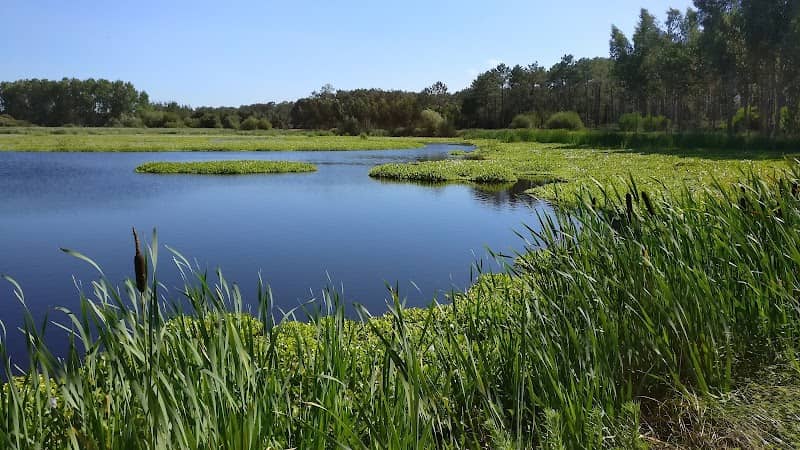 Lagoa Salgueira - Image 1