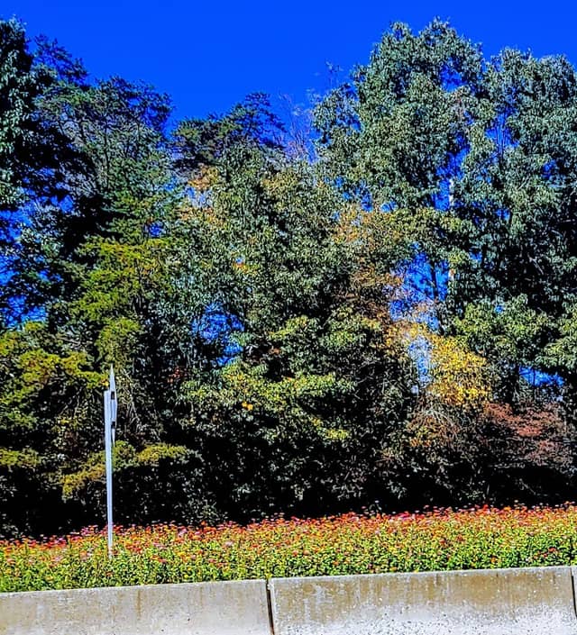 Town of Clyde Park - Image 1