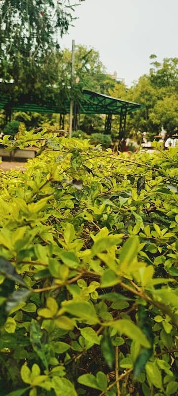 Sethi Colony Park - Image 2