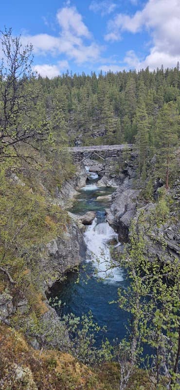 Veo bridge - Image 2