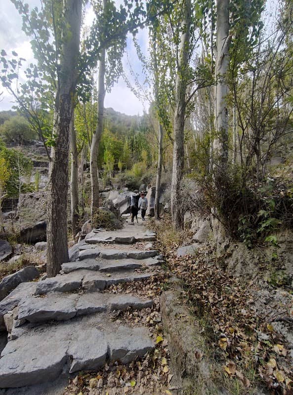 Ondra Poygah - Image 3