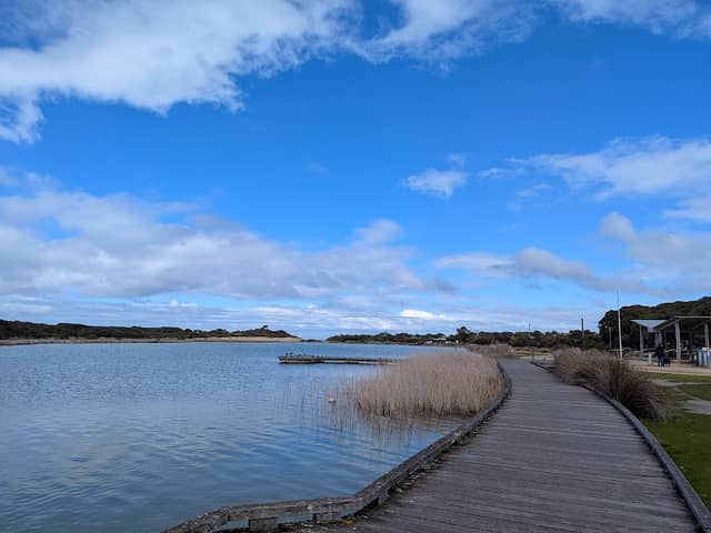 Anglesea River Boardwalk - Image 1
