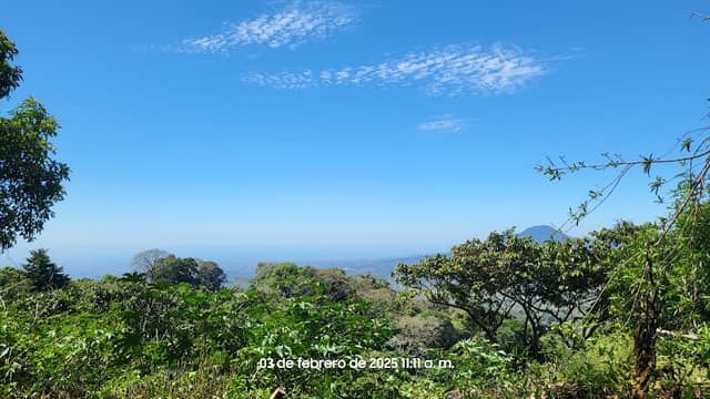 Bosque Nebuloso La Montaña - Image 2