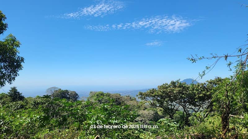 Bosque Nebuloso La Montaña - Image 2