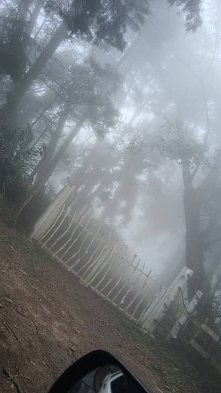 Bosque Nebuloso La Montaña - Image 3
