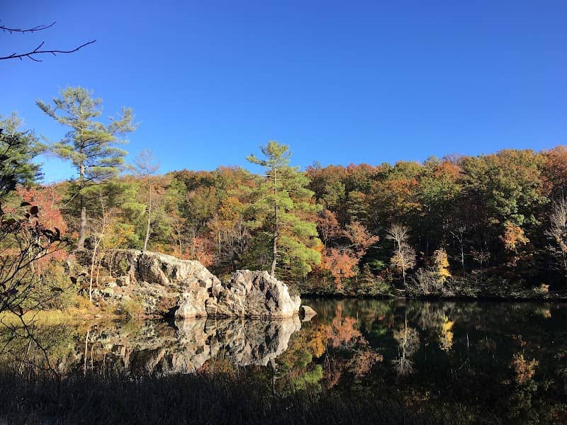 Trout Pond Recreation Area - Image 2
