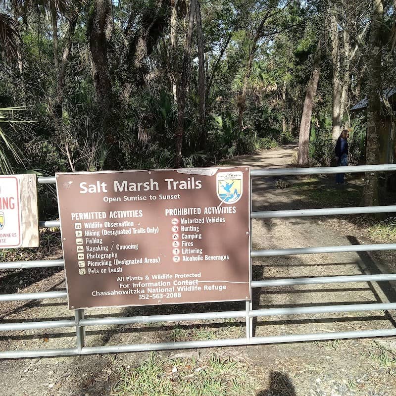 Salt Marsh Trails - Crystal River Wildlife Refuge Complex Trailhead - Image 1