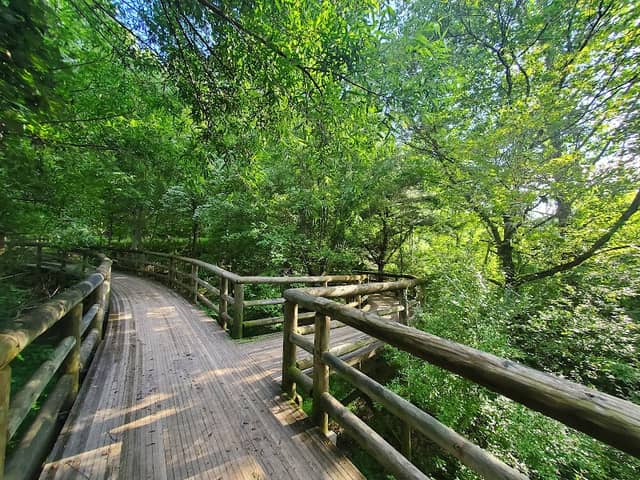 Coal Mining Heritage Park and Loop Trail - Image 1