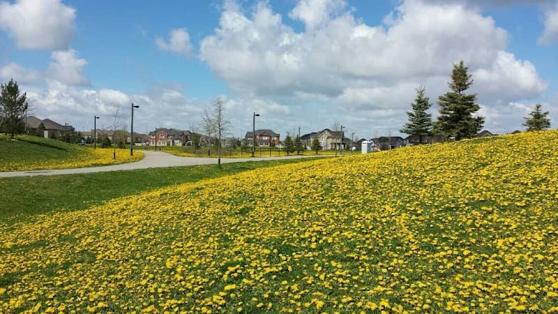 Hillside Park - Image 1