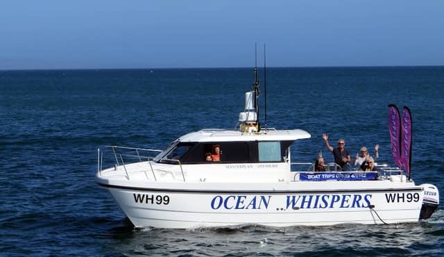Ocean Whispers - Image 1