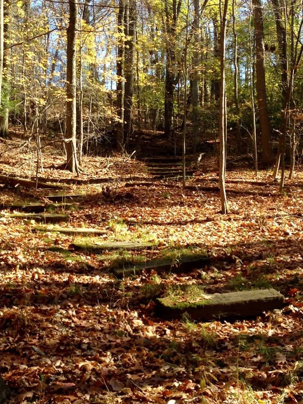 Edith Kauffman Quarry Garden - Image 1
