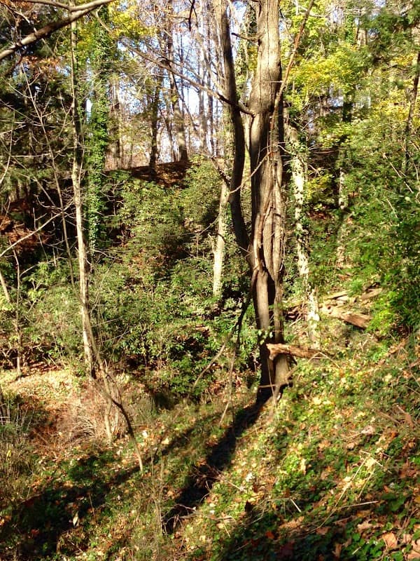 Edith Kauffman Quarry Garden - Image 2
