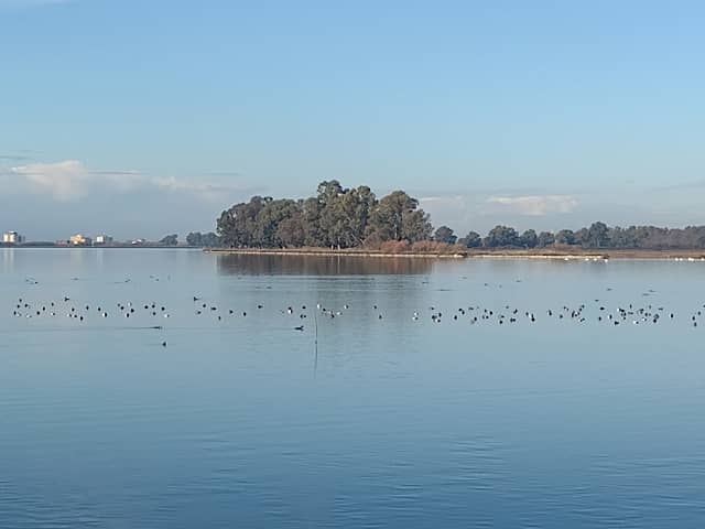 Zona Birdwatching - Image 1