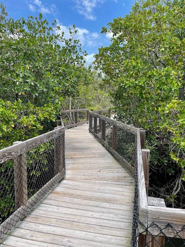 Clam Bayou Nature Park - Image 2