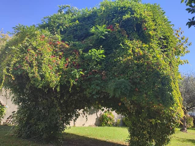 Jardim Adelino Júnior - Image 1