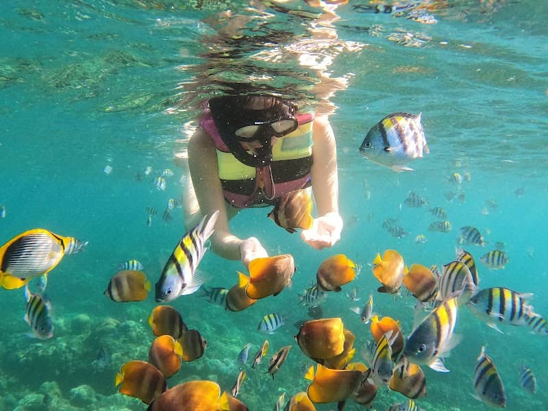 Amed Snorkeling Adventure - Image 1