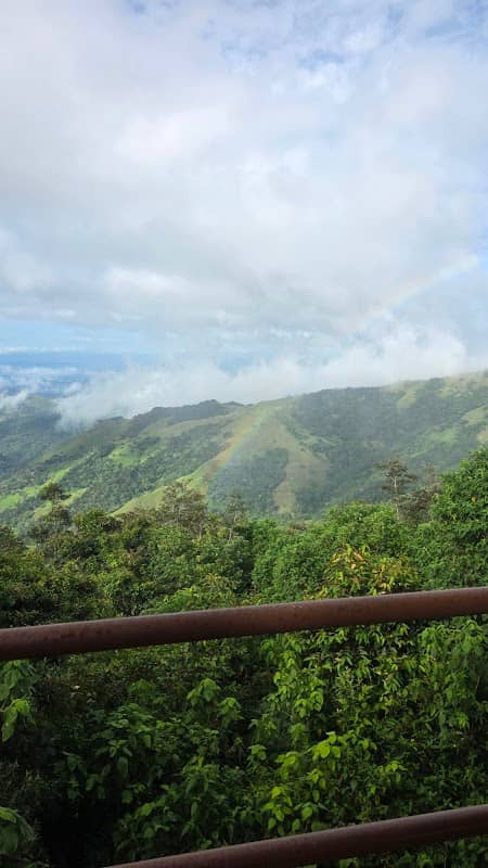 Cloudforest Lookout - Image 1