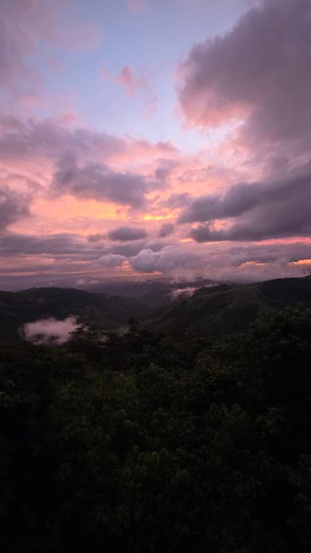 Cloudforest Lookout - Image 2