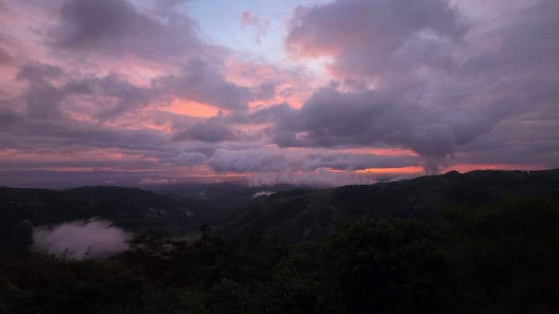 Cloudforest Lookout - Image 3