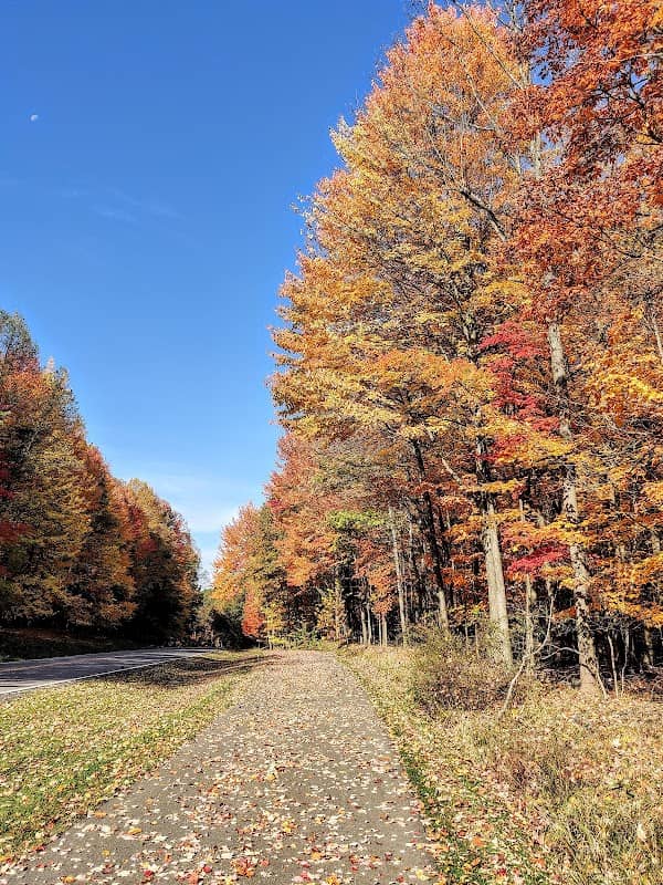 Bedford Reservation Parkway in Bedford Heights - Image 1