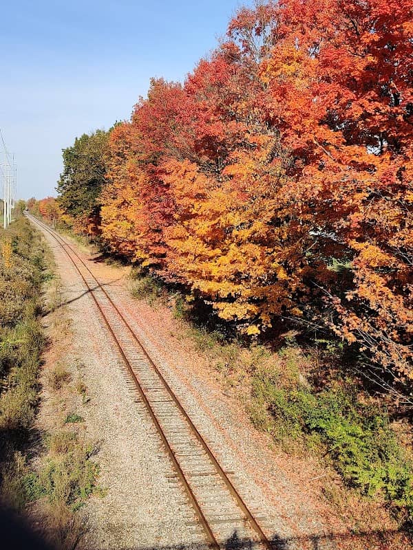 Bedford Reservation Parkway in Bedford Heights - Image 2