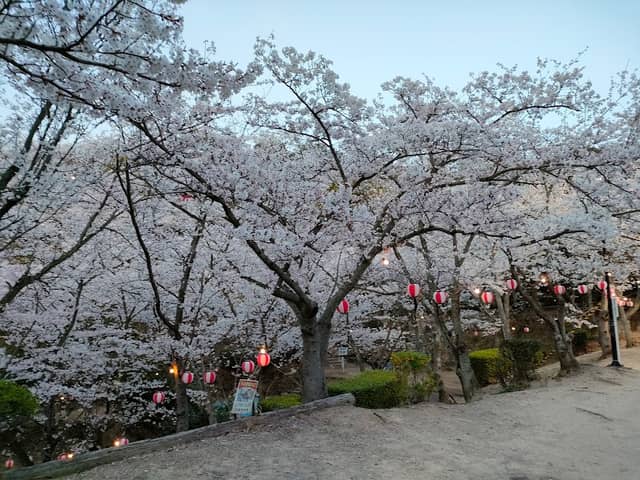 Mukaiyama Park - Image 1