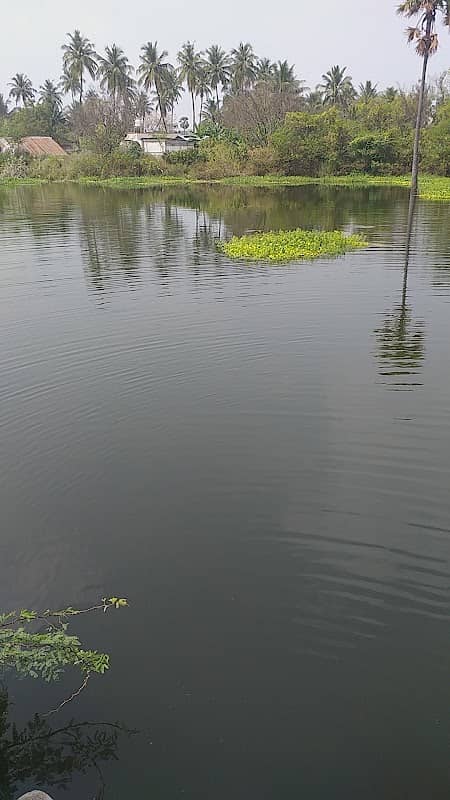 Karapparai Checkdam - Image 2