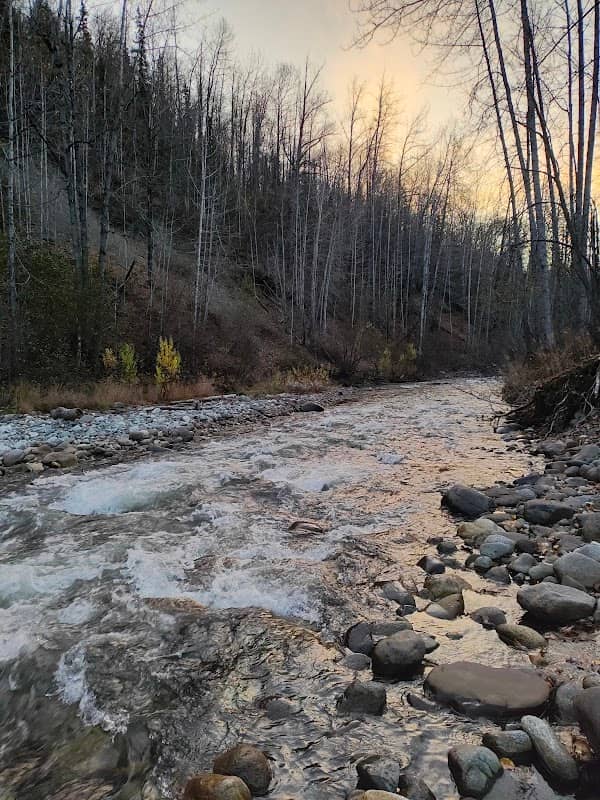 Moose Creek Campground - Image 1