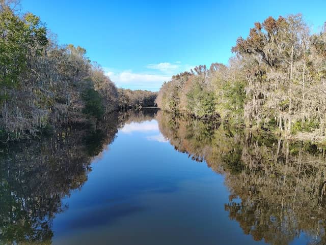 Dunnellon Trail Bridge - Image 2