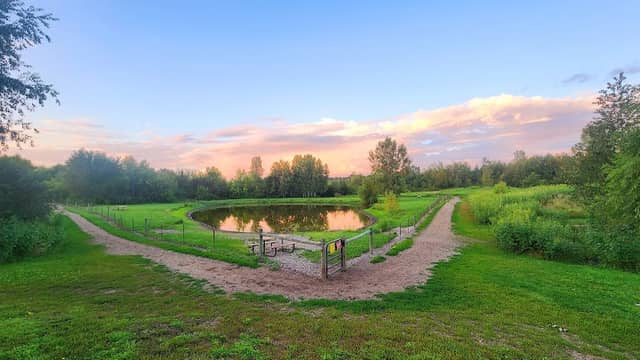Cleary Lake Dog Park - Image 3