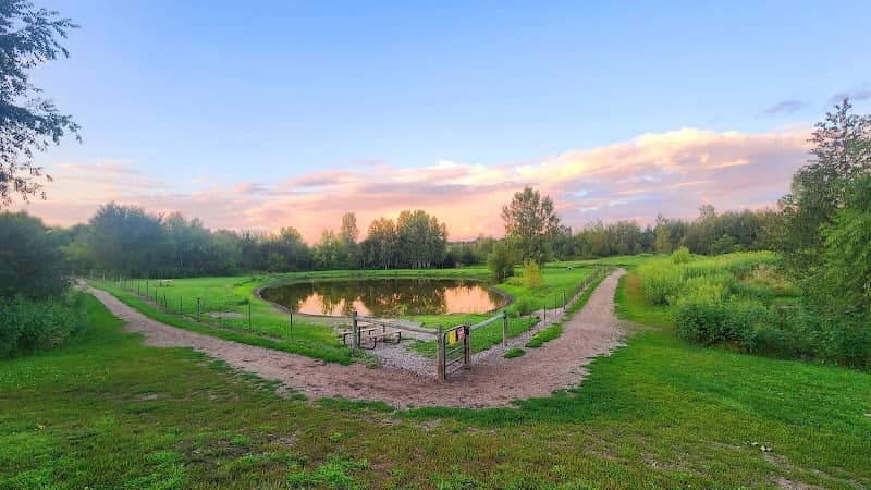 Cleary Lake Dog Park - Image 3