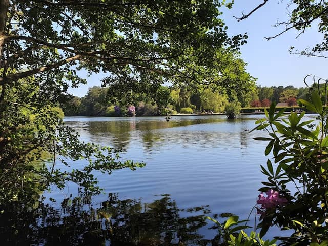 California Park - Image 1