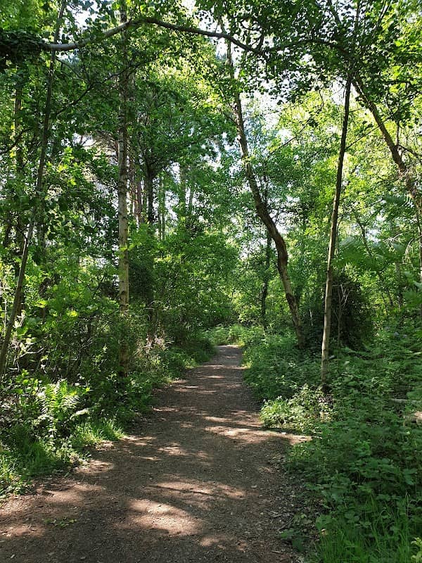 California Park - Image 2