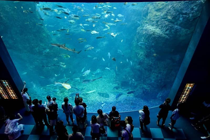 Enoshima Aquarium - Image 2