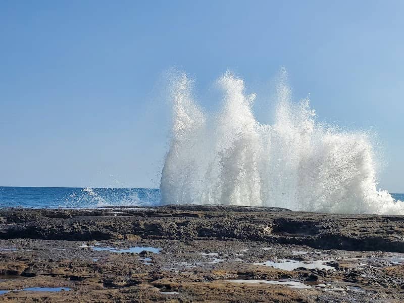 Punta deslumbrante - Image 2