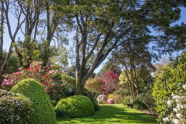 Hollard Gardens - Image 2