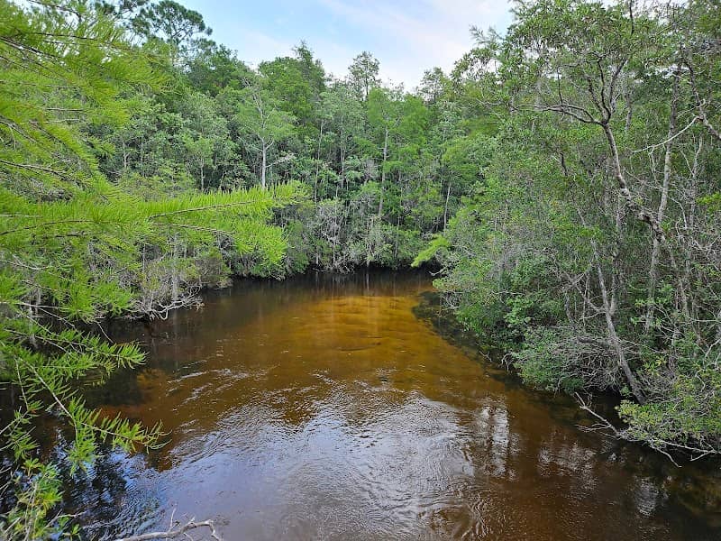 Turkey Creek Walk - Image 1