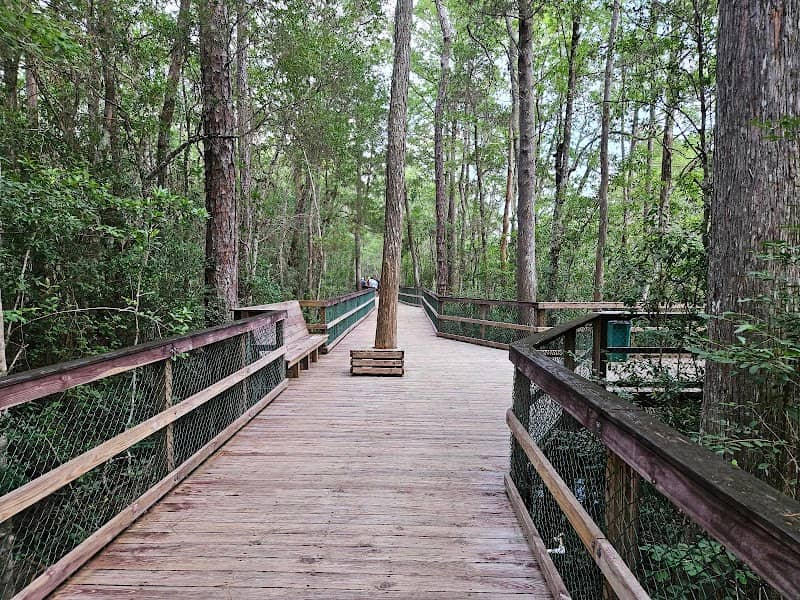 Turkey Creek Walk - Image 2