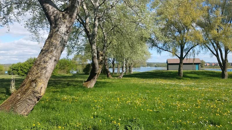 Natuurzwemmen Lathumse plas - Image 2