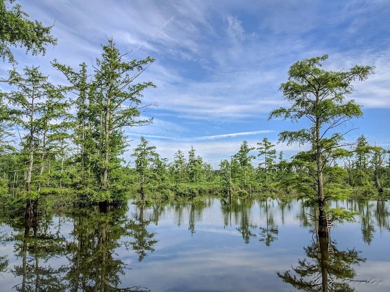 Cypress Creek National Wildlife Refuge - Image 2