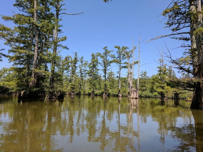 Cypress Creek National Wildlife Refuge - Image 3