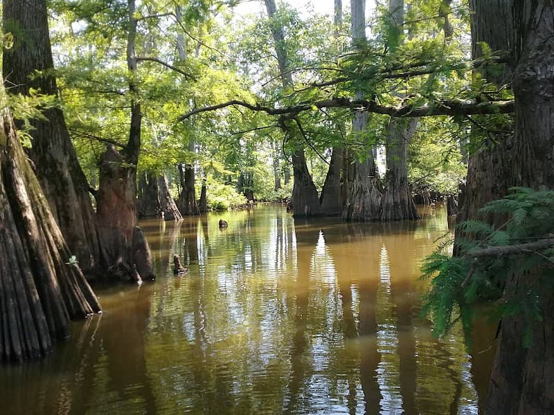 Cypress Creek National Wildlife Refuge - Image 1