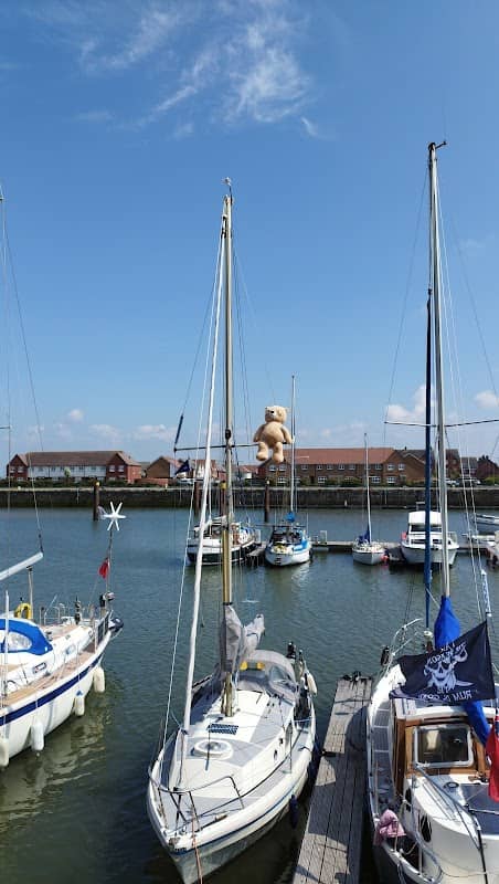 Boat with a Bear - Image 2