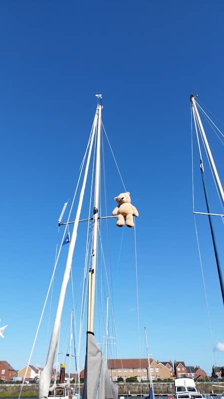 Boat with a Bear - Image 1