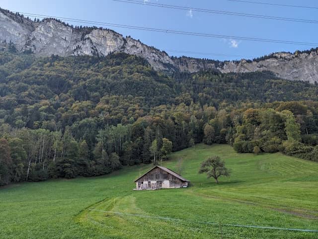 Birchental - Image 1