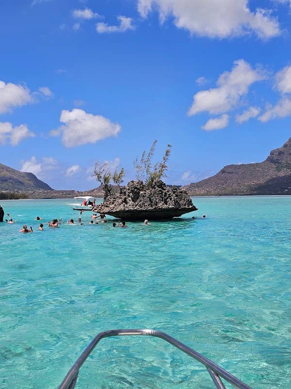 Ticou, Ticou-Big Game fishing, Dolphin swimming, Snorkeling - Image 3