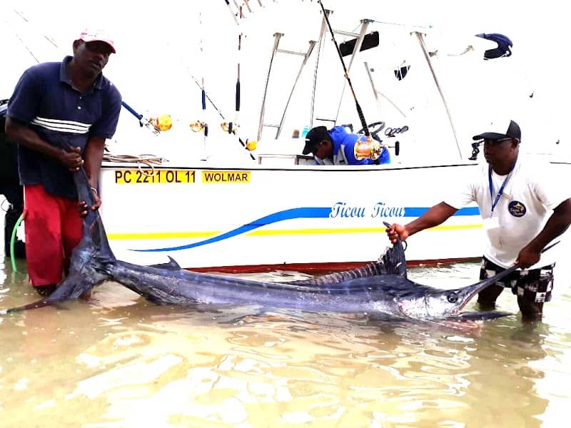 Ticou, Ticou-Big Game fishing, Dolphin swimming, Snorkeling - Image 2