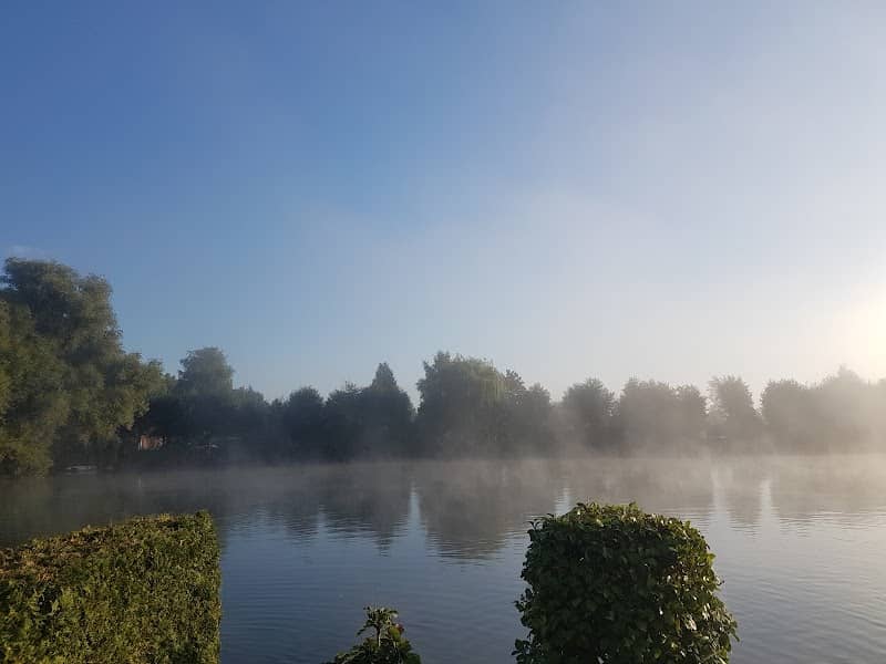 The swanlake - Image 1