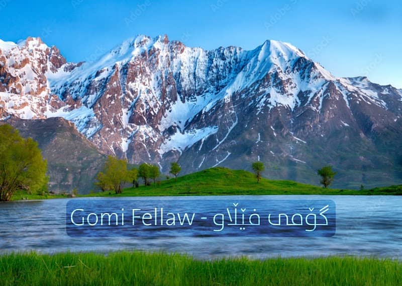 گۆمی فێڵاو Gomi Fellaw - Image 1