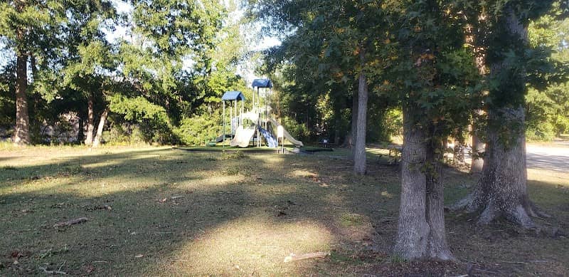 Park forest - Image 1